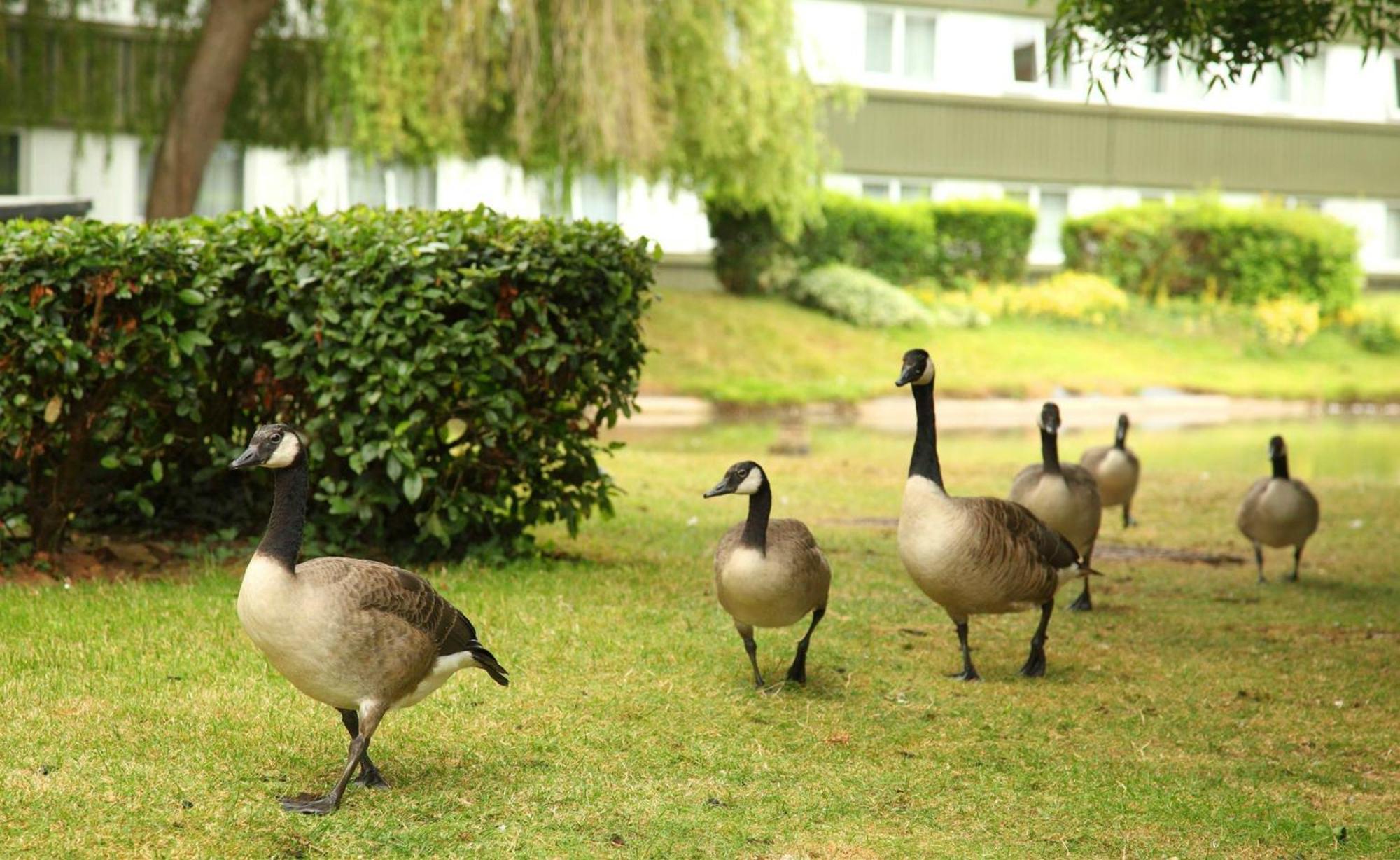 Bristol Filton By Ihg 4*